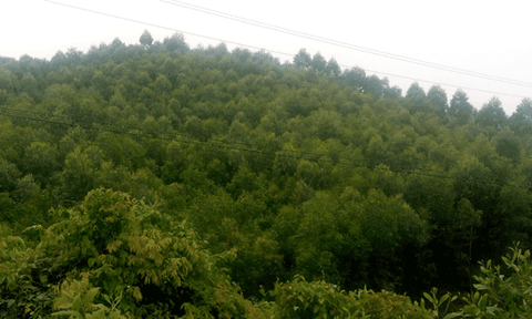 Kỳ Lạc: Từng bước biến các mục tiêu trở thành hiện thực