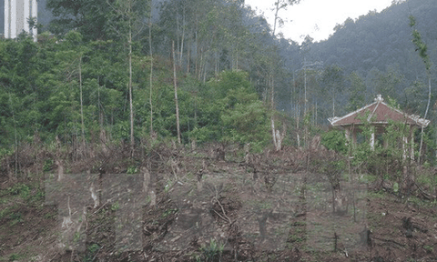 Thái Nguyên: Kỷ luật cán bộ để xảy ra phá rừng ở di tích quốc gia Khuôn Mánh