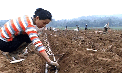 Tân Xuân: Nhiều giải pháp phát triển nhanh, mạnh và bền vững