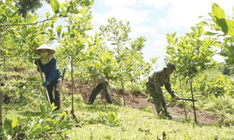 Phát triển kinh tế - xã hội 6 tháng đầu năm 2016 ở Hương Sơn