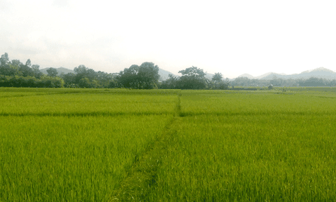 Phát triển kinh tế - xã hội 6 tháng đầu năm 2016: Ghi nhận ở Tân Thành