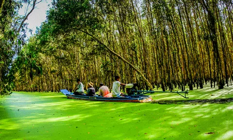 Mùa nước nổi nhớ… món ăn quê