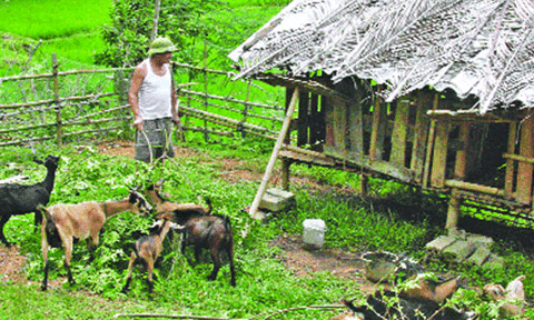 Như Thanh triển khai có hiệu quả các chính sách dân tộc