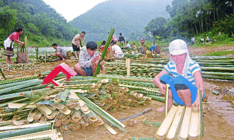 Thanh Hóa: Hiệu quả từ những mô hình giảm nghèo nhanh, bền vững