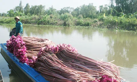 Làm du lịch ở khu bảo tồn