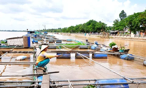  Triển khai nhiều giải pháp phát triển kinh tế - xã hội