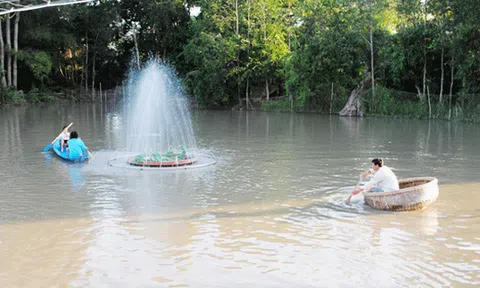  TP.Sa Đéc có thêm điểm tham quan du lịch
