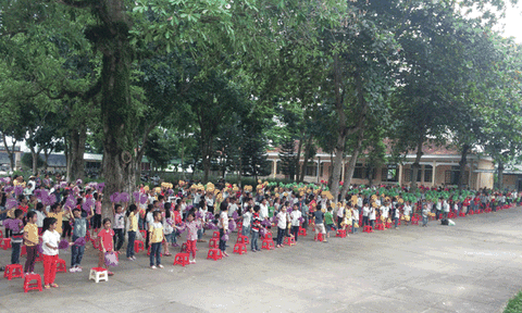 Trường tiểu học Dũng Hợp: Đạt nhiều thành tích đáng ghi nhận