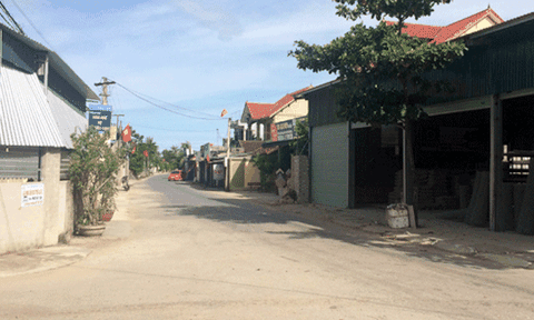 Chuyển đổi cơ cấu cây trồng - Bước đi đúng trong phát triển kinh tế Diễn Mỹ  