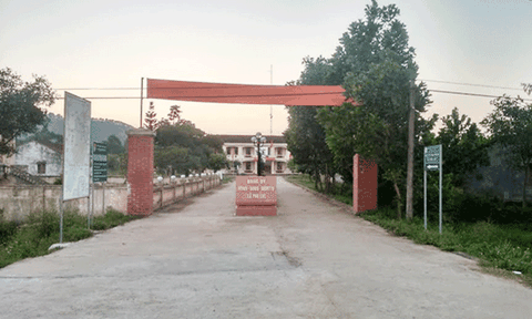 Phú Lộc: Thúc đẩy kinh tế phát triển, nâng cao thu nhập cho người dân