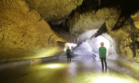 Kỳ bí Thẳm Phẩy