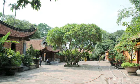 Tích cực bảo tồn và phát huy các giá trị di sản văn hóa ở Bắc Giang