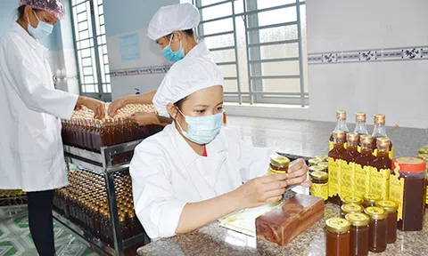 Khuyến khích phát triển sản phẩm công nghiệp nông thôn