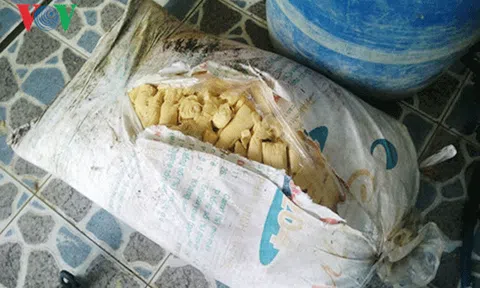 TPHCM: Phát hiện nhiều cơ sở ngâm măng, rau muống với hóa chất 