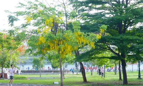 Khắc phục tình trạng xà xẻo đất công viên 