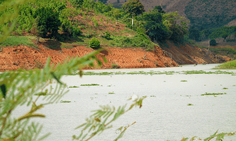 Về nơi bến đợi - làng Chờ