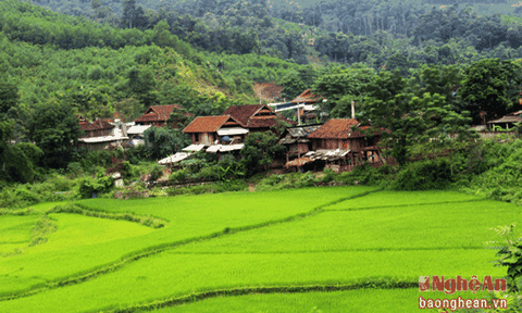 Nét cổ Diên Lãm