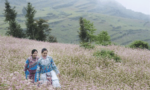 Phát huy giá trị lễ hội