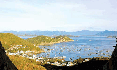 Bình yên đảo tôm hùm