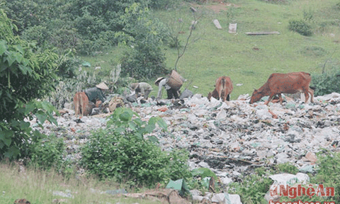 Những người sống nhờ rác