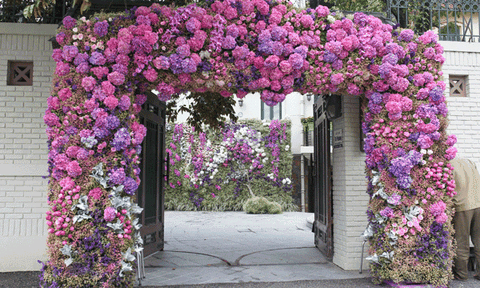 Lễ ăn hỏi trang trí bằng 8.700 cành hoa nhập ở Hà Nội