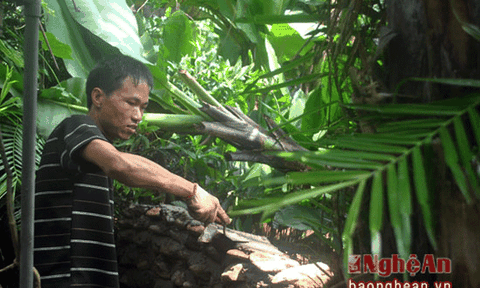 Người trai bản Thái và ý tưởng xây hàng rào bằng đá suối