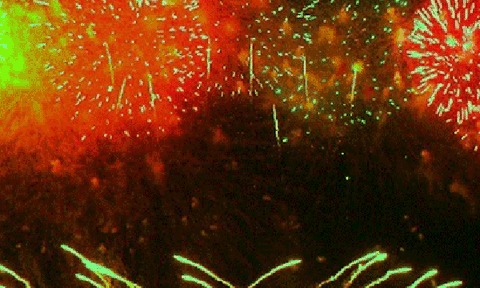  Đà Nẵng sẽ tổ chức Festival pháo hoa quốc tế hằng năm 