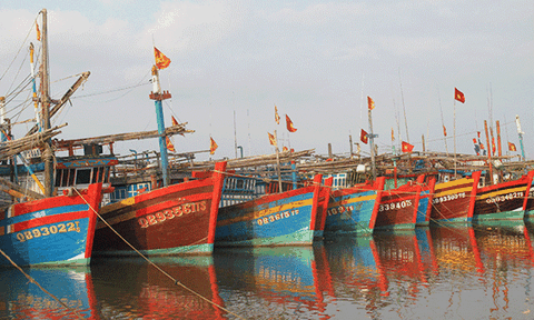 Quảng Trạch: Chủ động trong mọi tình huống thiên tai xảy ra