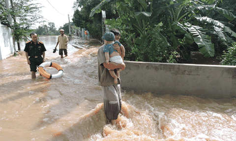  TP Bà Rịa: Lũ bất ngờ, nhấn chìm hoa màu, tài sản      