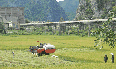 Nông dân Tuyên Hóa: Tích cực thi đua sản xuất kinh doanh giỏi