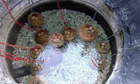 Kỳ diệu suối khoáng nóng Bình Châu