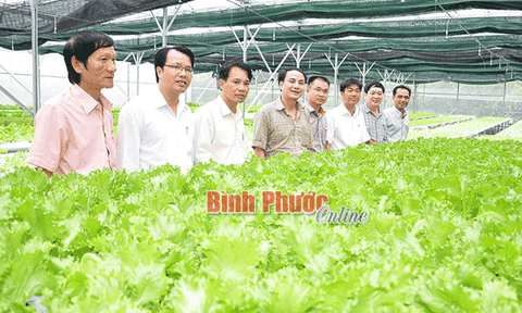 Nông dân thời hội nhập: Đầu tư công nghệ và thay đổi tư duy