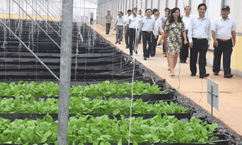 Động lực trong phát triển kinh tế miền Tây Nghệ An