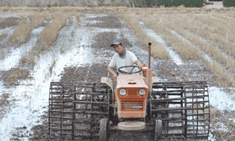 Ngọt hóa Gò Công: Không thể "ôm" mãi 3 vụ lúa