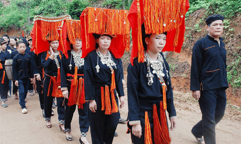 Sắp diễn ra lễ hội quế Văn Yên lần thứ II mang đậm sắc màu văn hóa người Dao