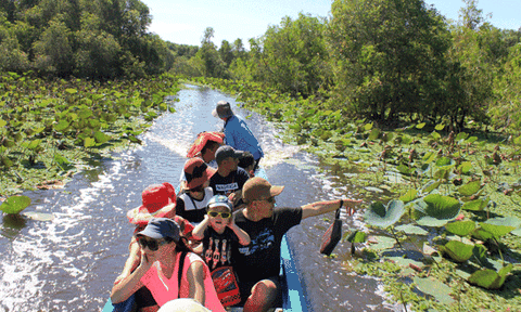 Về An Giang phiêu lưu giữa rừng tràm Trà Sư mùa nước nổi