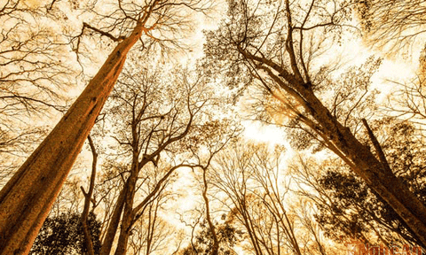 Những điểm đến hấp dẫn mùa thu xứ Nghệ