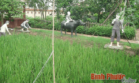 Bảo tàng đồng quê - Nét đẹp cần nhân rộng