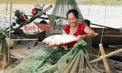 “Nụ cười” sông nước