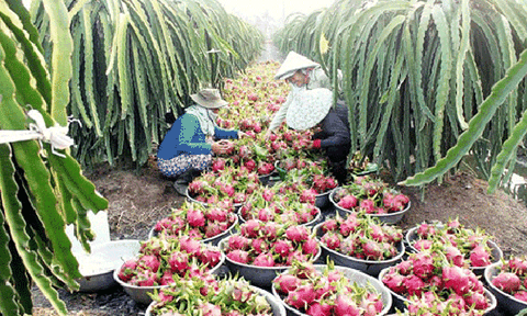 Long An: Không vì thu hút đầu tư mà đánh đổi môi trường 