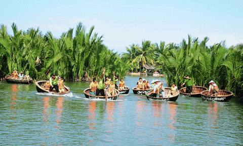 Rừng dừa Bảy Mẫu - một miền Tây khác ở Hội An