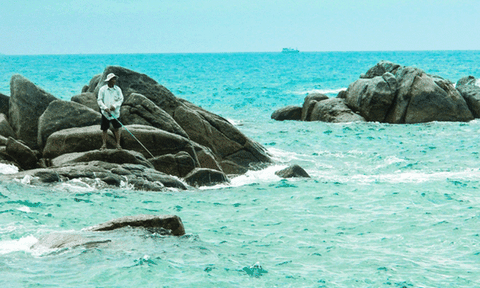 Biển Cà Ná - Vẻ đẹp non nước hữu tình