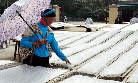 Nghề làm miến dong của người Sán Chỉ Quảng Ninh