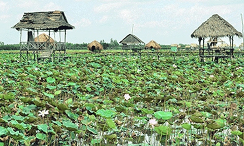 Hai ngày với Đồng Tháp Mười