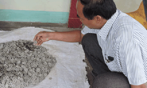 Phát hiện tiền cổ thời nhà Nguyễn