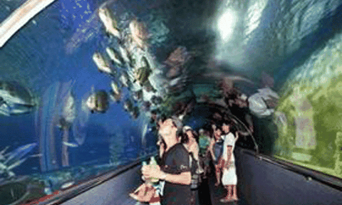 Phí tham quan Bảo tàng Hải Dương học từ 10.000 – 40.000 đồng/lượt