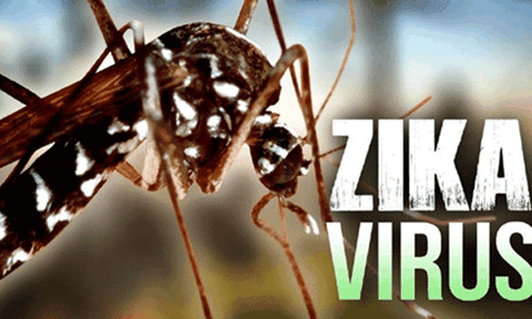 Thêm 2 trường hợp nhiễm vi rút Zika tại thành phố Hồ Chí Minh