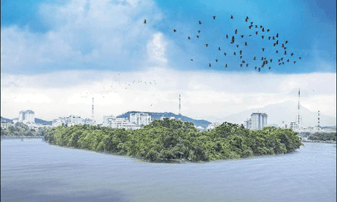 Cội nguồn bình yên