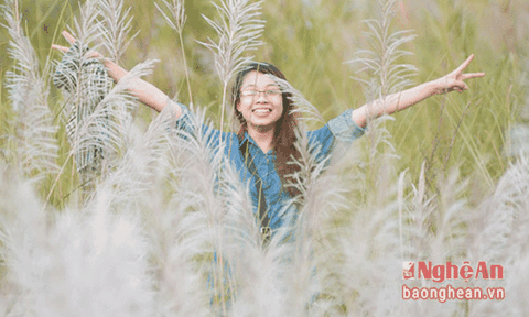 Đẹp mê mẩn mùa hoa lau ở đồng quê xứ Nghệ