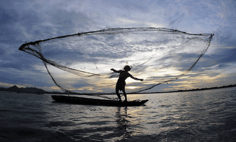 Cảnh đẹp khó cưỡng của mùa nước nổi